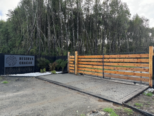 entrada reserva Chacao